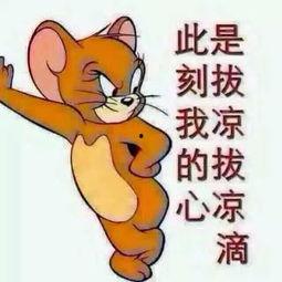 我就是个吃瓜群众图片搞笑,图解网络搞笑瞬间  第2张