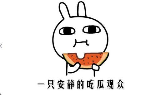 网络吃瓜是什么意思,揭秘虚拟世界中的围观文化  第2张