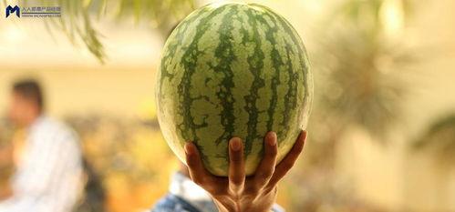 大娱乐吃瓜,大娱乐吃瓜，揭秘明星幕后故事  第2张