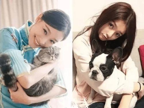 娱乐吃瓜拍到恋情,当红明星甜蜜恋情曝光,甜蜜瞬间被吃瓜群众捕捉 第3张 娱乐吃瓜拍到恋情,当红明星甜蜜恋情曝光,甜蜜瞬间被吃瓜群众捕捉 第3张