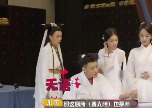 娱乐圈吃瓜爆料杨紫肖战,娱乐圈的甜蜜瓜田，揭秘他们的幕后故事  第3张