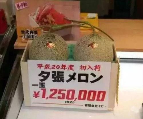 吃瓜群众休闲娱乐馆,一站式娱乐新体验 第2张 吃瓜群众休闲娱乐馆,一站式娱乐新体验 第2张